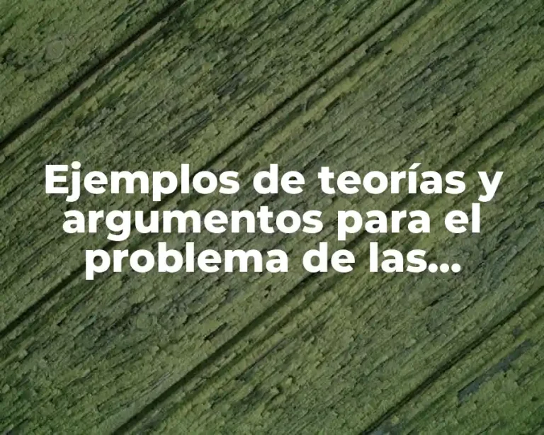 Ejemplos de teorías y argumentos para el problema de las inundaciones