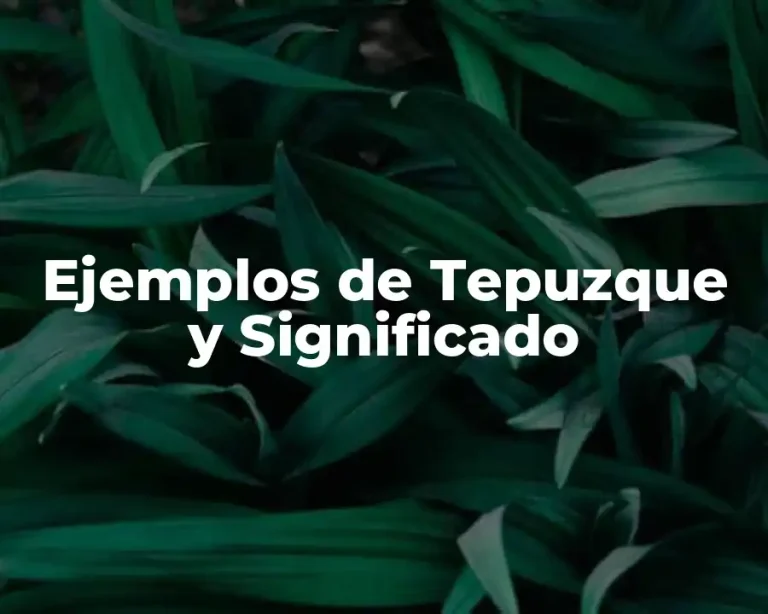 Ejemplos de Tepuzque y Significado