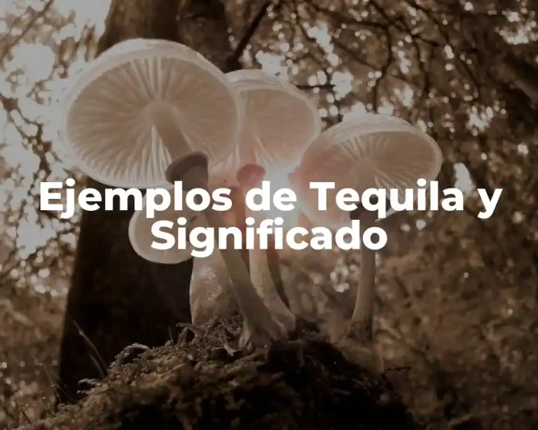 Ejemplos de Tequila y Significado
