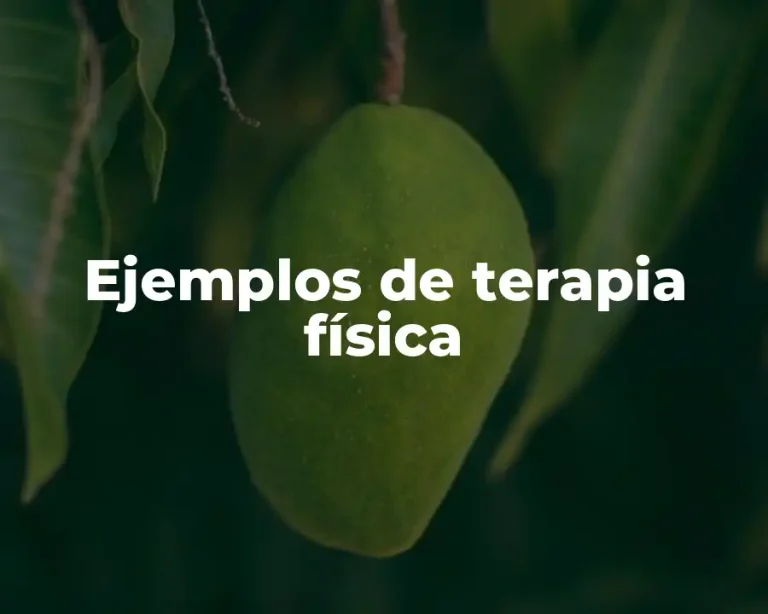 Ejemplos de terapia física