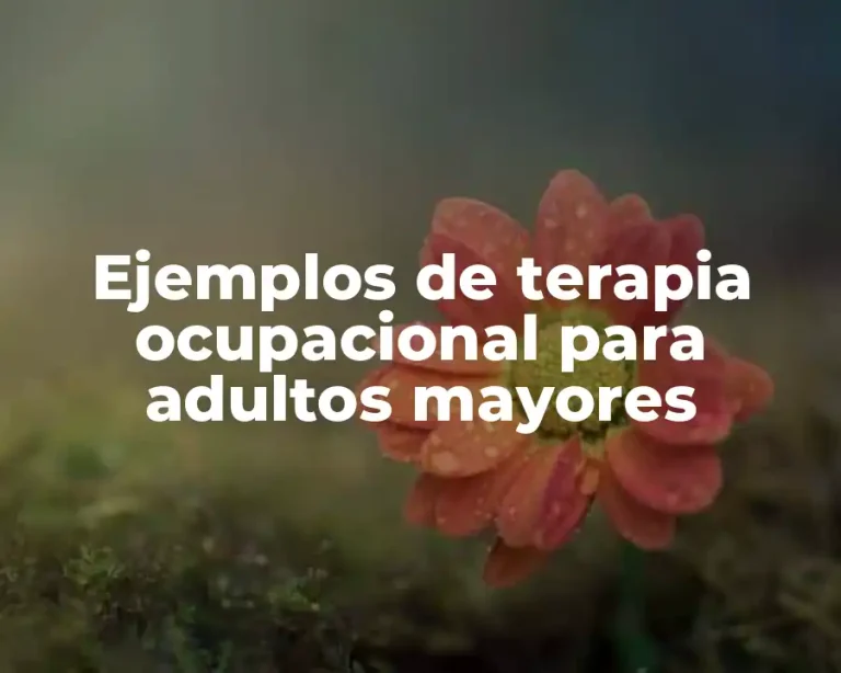 Ejemplos de terapia ocupacional para adultos mayores