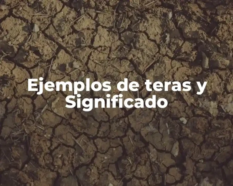 Ejemplos de teras y Significado