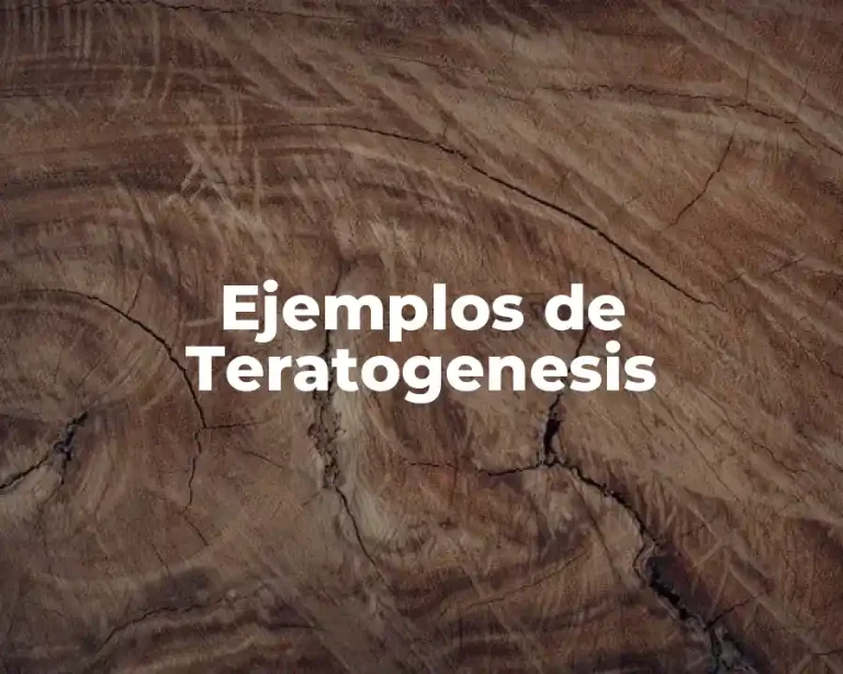 Ejemplos de Teratogenesis