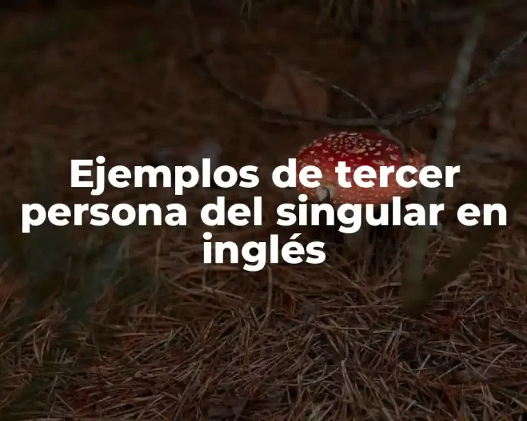 Ejemplos de tercer persona del singular en inglés