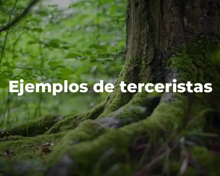 Ejemplos de terceristas