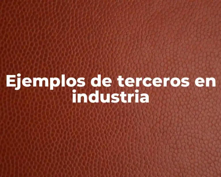 Ejemplos de terceros en industria
