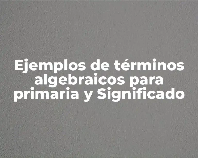 Ejemplos de términos algebraicos para primaria y Significado