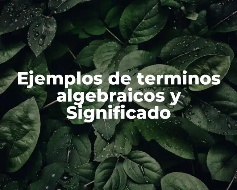 Ejemplos de terminos algebraicos y Significado