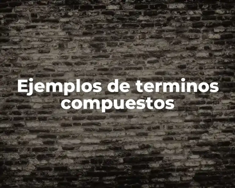 Ejemplos de terminos compuestos