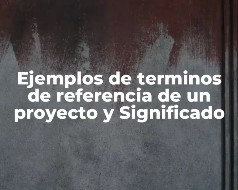 Ejemplos de terminos de referencia de un proyecto y Significado