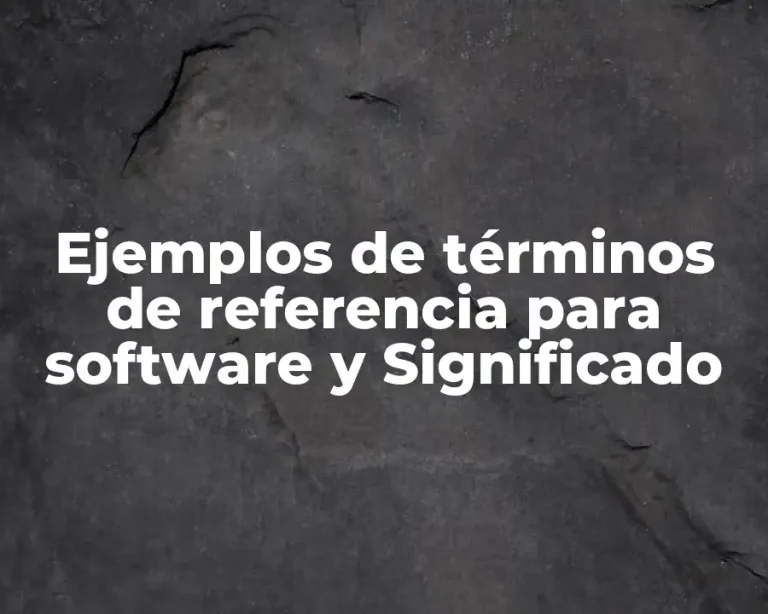 Ejemplos de términos de referencia para software y Significado