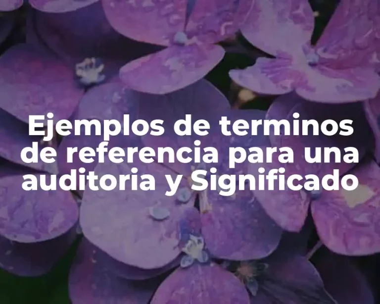 Ejemplos de terminos de referencia para una auditoria y Significado