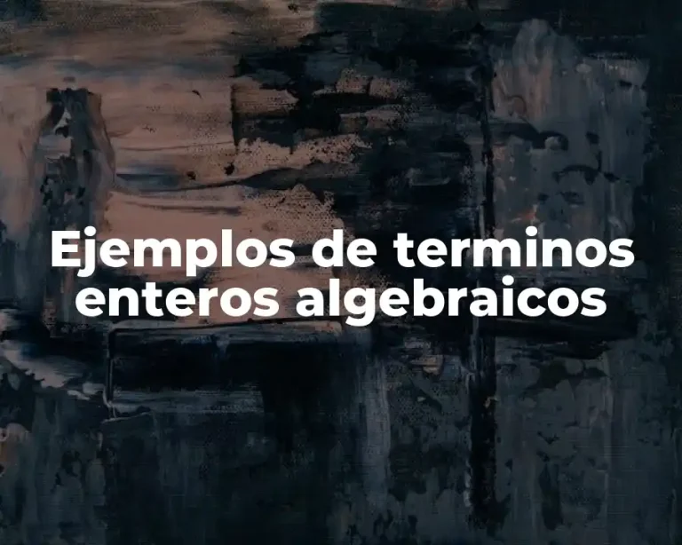 Ejemplos de terminos enteros algebraicos