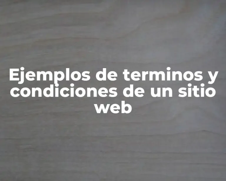 Ejemplos de terminos y condiciones de un sitio web