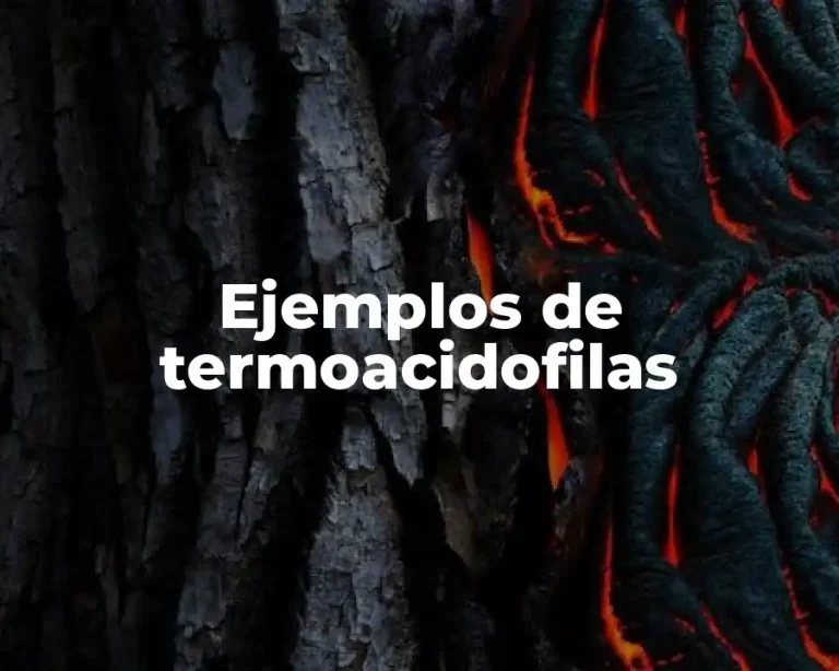 Ejemplos de termoacidofilas