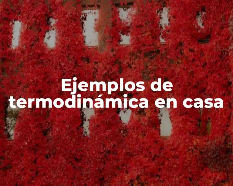 Ejemplos de termodinámica en casa