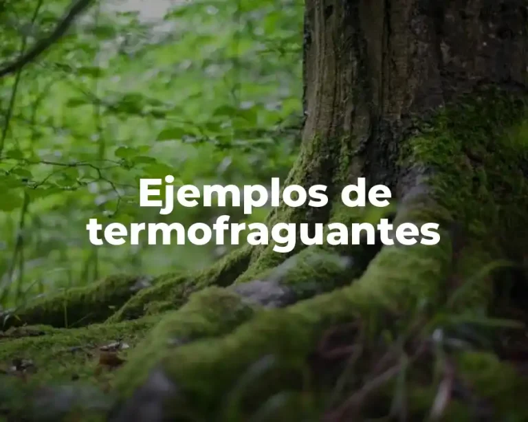 Ejemplos de termofraguantes