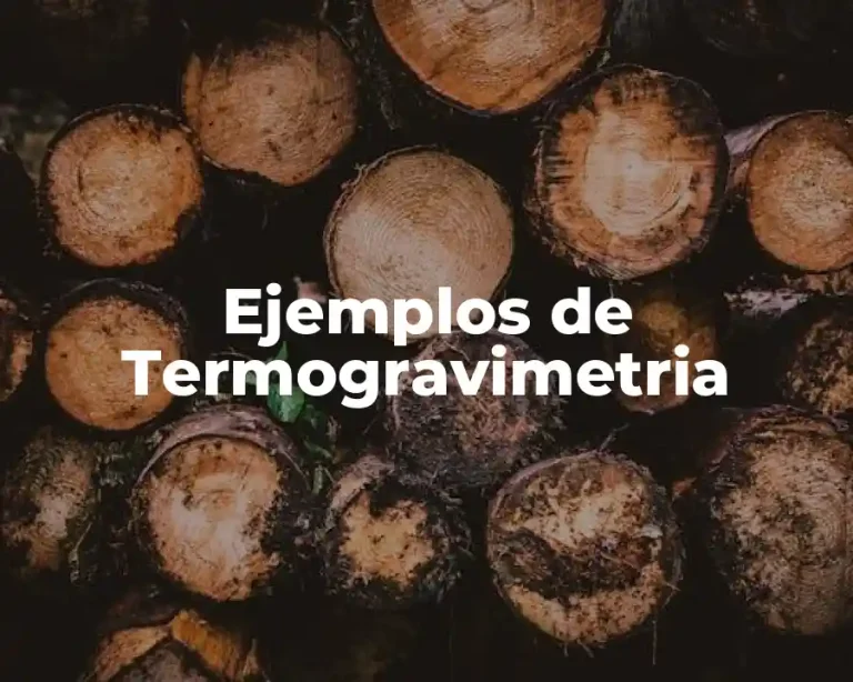 Ejemplos de Termogravimetria