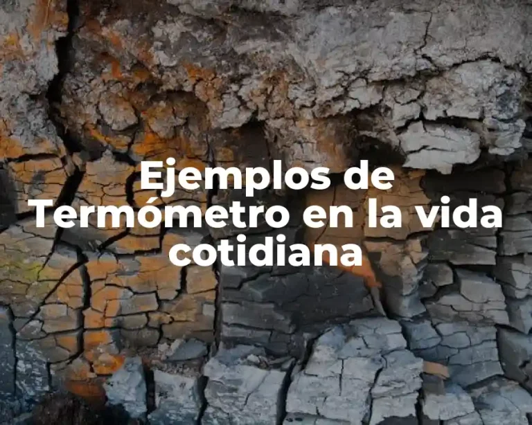 Ejemplos de Termómetro en la vida cotidiana
