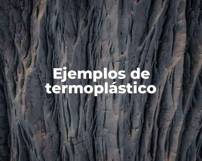 Ejemplos de termoplástico