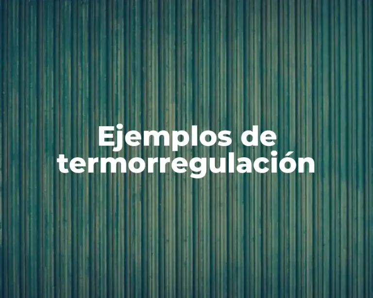 Ejemplos de termorregulación