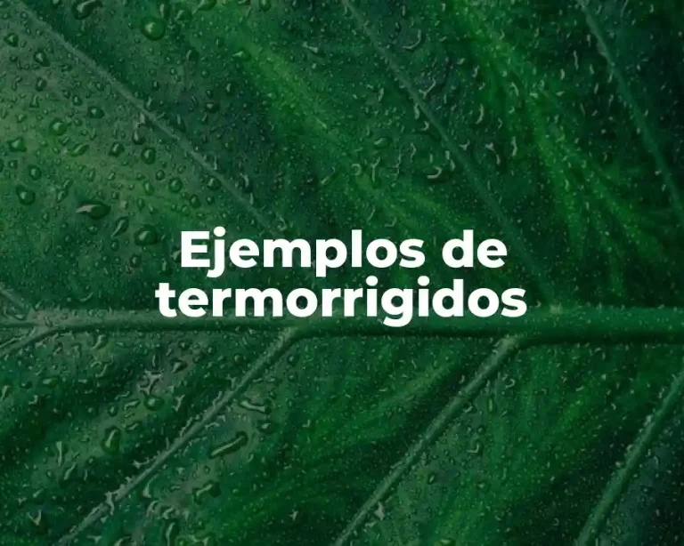 Ejemplos de termorrigidos