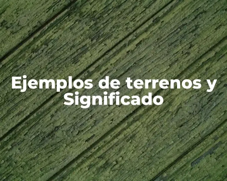 Ejemplos de terrenos y Significado