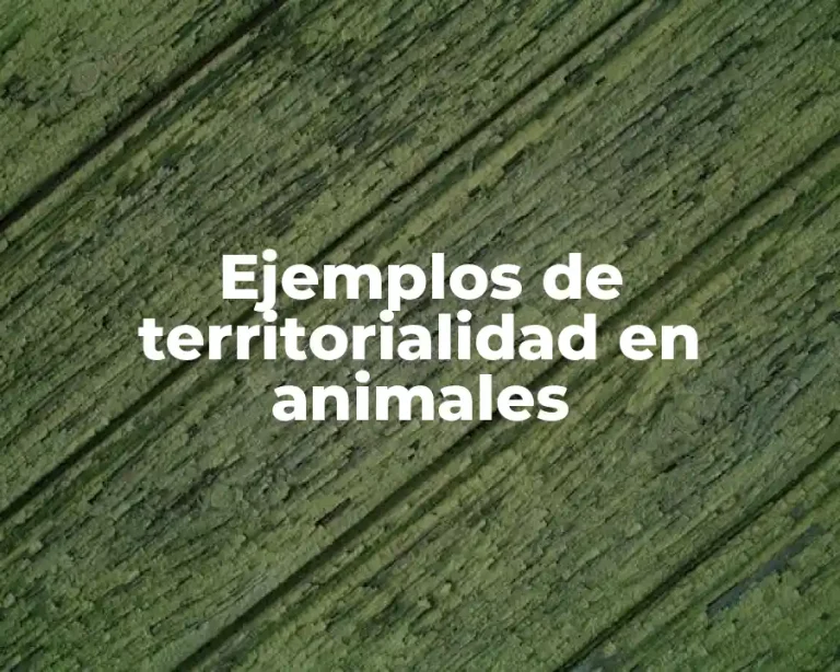 Ejemplos de territorialidad en animales