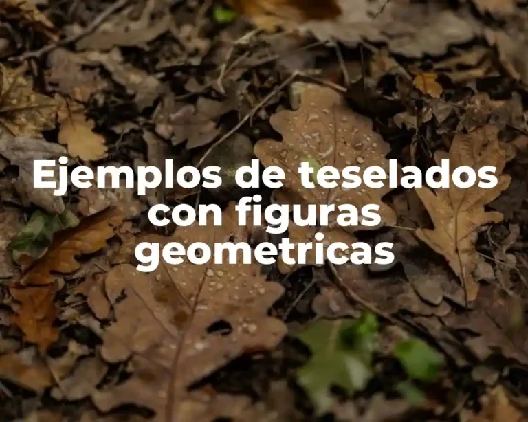 Ejemplos de teselados con figuras geometricas