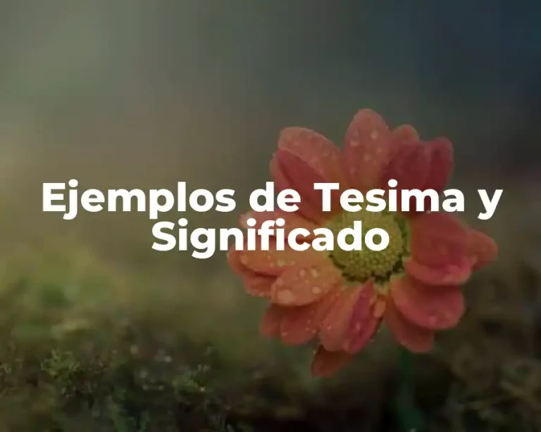 Ejemplos de Tesima y Significado