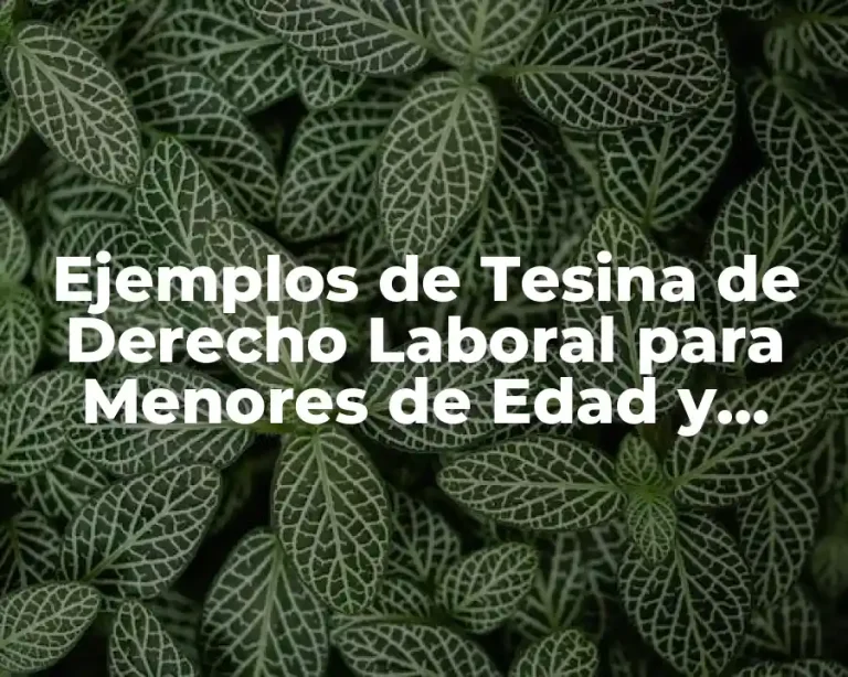 Ejemplos de Tesina de Derecho Laboral para Menores de Edad y Significado