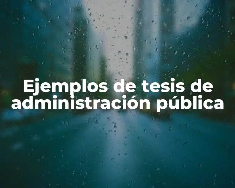 Ejemplos de tesis de administración pública