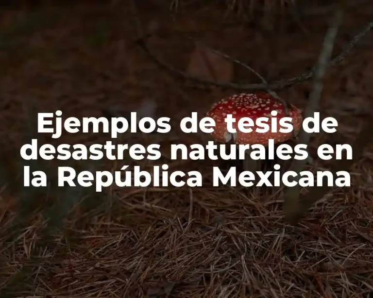 Ejemplos de tesis de desastres naturales en la República Mexicana