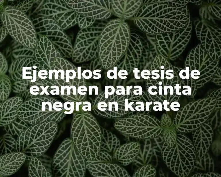 Ejemplos de tesis de examen para cinta negra en karate