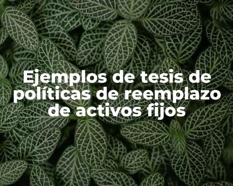 Ejemplos de tesis de políticas de reemplazo de activos fijos