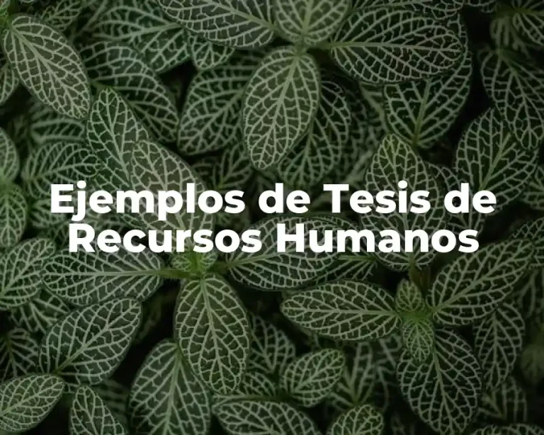 Ejemplos de Tesis de Recursos Humanos