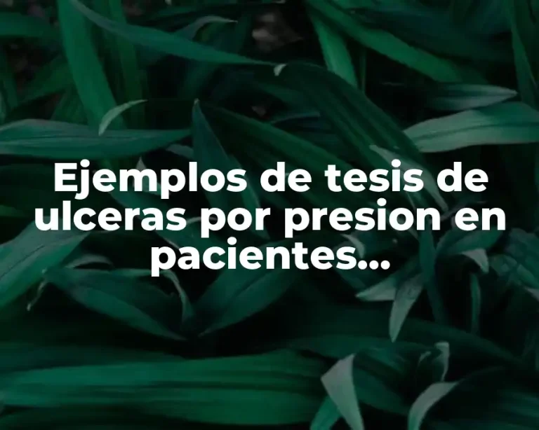 Ejemplos de tesis de ulceras por presion en pacientes hospitalizados y Significado