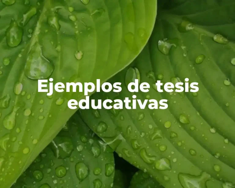 Ejemplos de tesis educativas