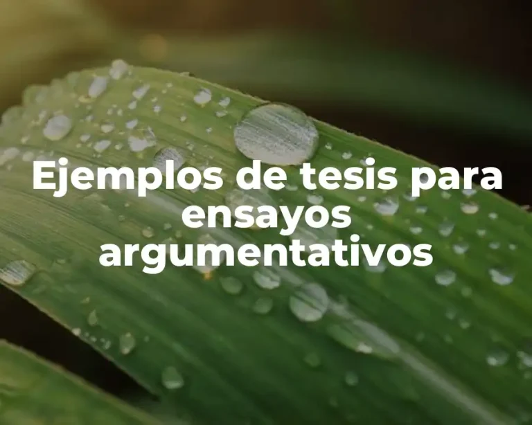 Ejemplos de tesis para ensayos argumentativos