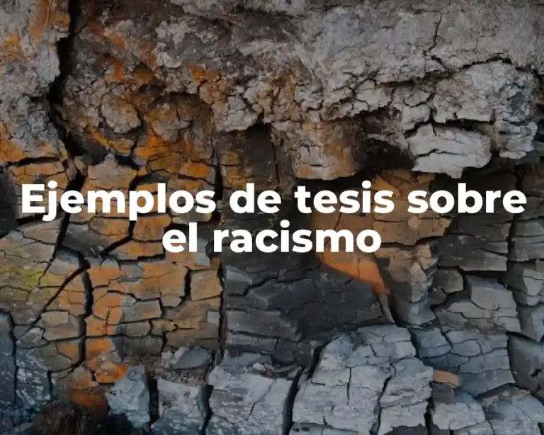 Ejemplos de tesis sobre el racismo