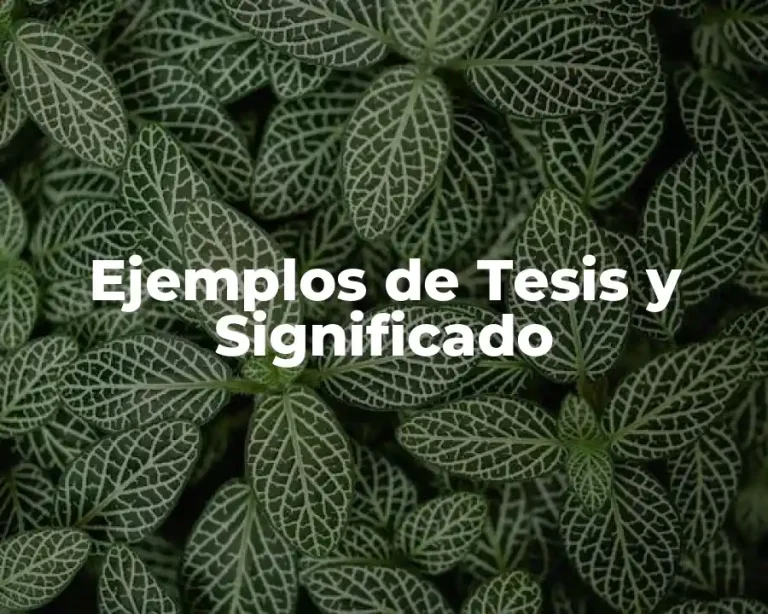 Ejemplos de Tesis y Significado