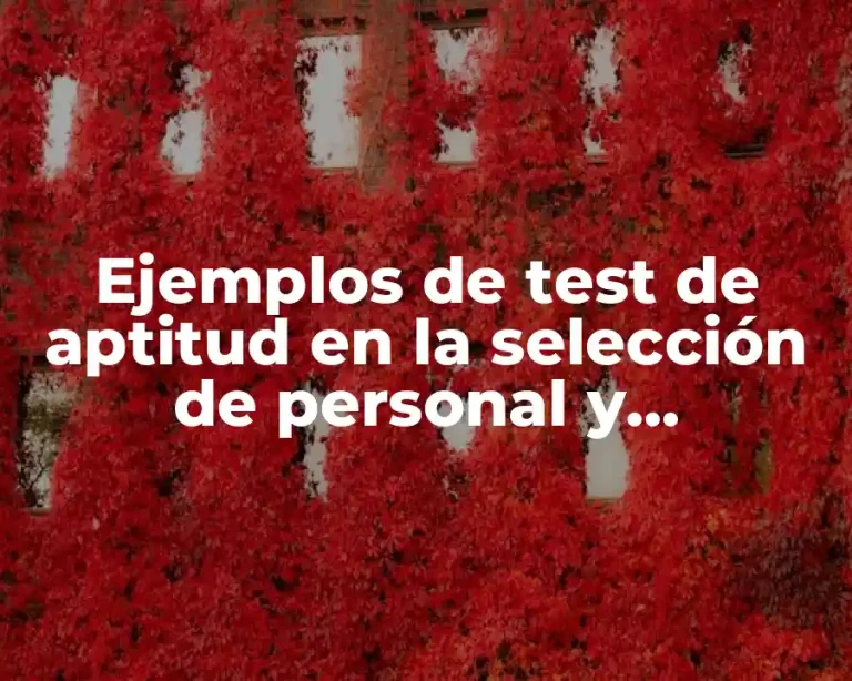Ejemplos de test de aptitud en la selección de personal y Significado