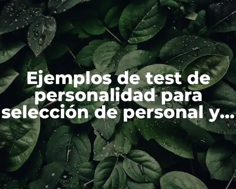 Ejemplos de test de personalidad para selección de personal y Significado