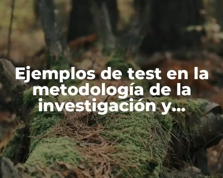 Ejemplos de test en la metodología de la investigación y Significado