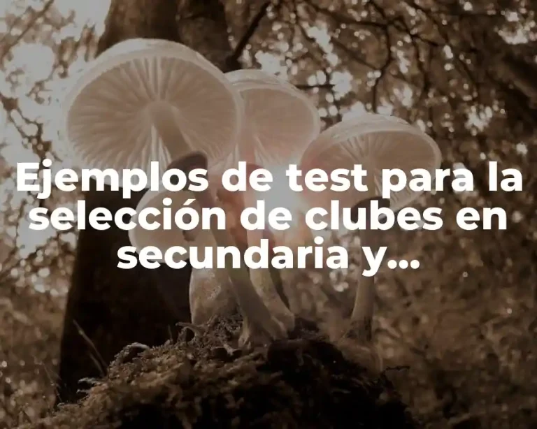 Ejemplos de test para la selección de clubes en secundaria y Significado