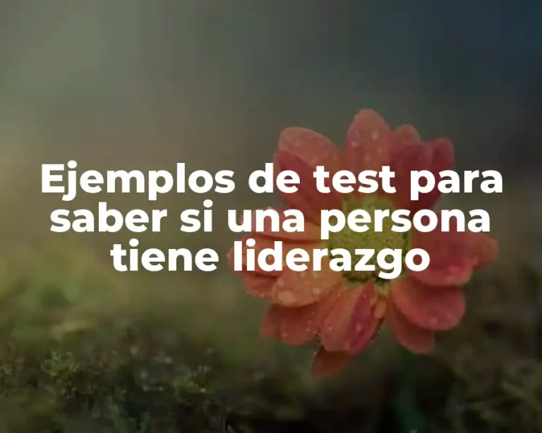 Ejemplos de test para saber si una persona tiene liderazgo