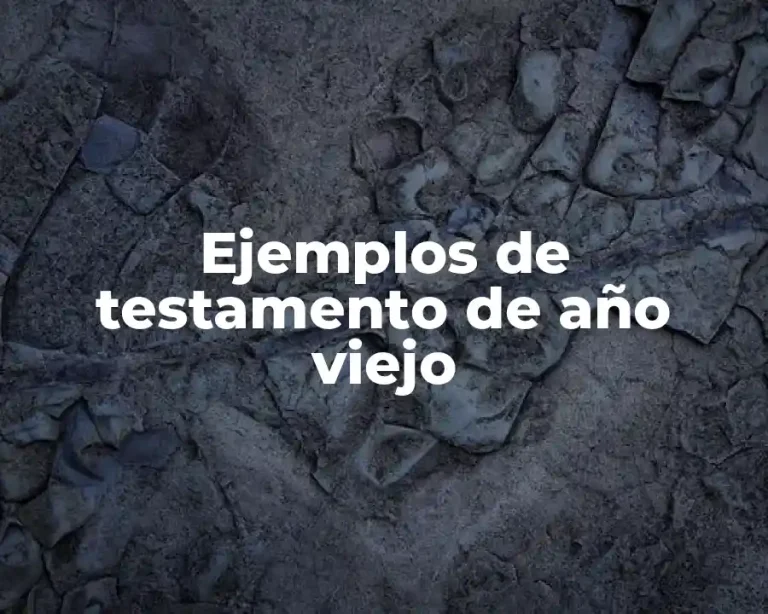 Ejemplos de testamento de año viejo