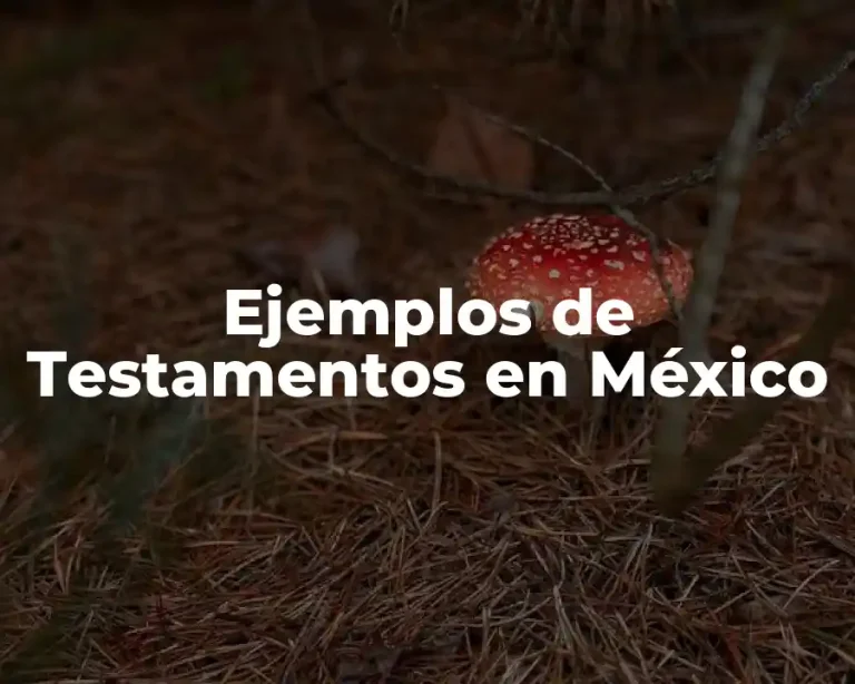 Ejemplos de Testamentos en México