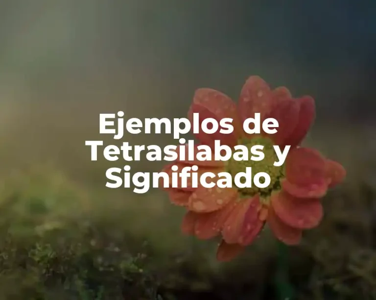 Ejemplos de Tetrasilabas y Significado