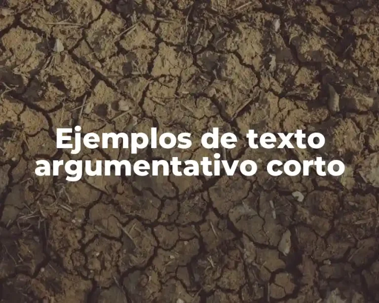 Ejemplos de texto argumentativo corto